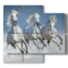 bild weisse wildpferde - version: 4 pannelli 91x85cm