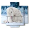 quadro cavallo bianco disteso nella neve - version: 5 pannelli 89x85cm