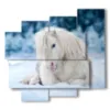 painting white horse lying in the snow - version: 5 pannelli 106x98cm