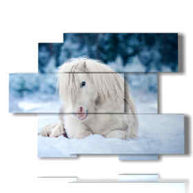 cuadro caballo blanco tirado en la nieve