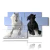 quadro con due cavalli black and white - version: 7 pannelli 157x90cm