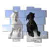 painting with two black and white horses - version: 15 pannelli 186x152cm