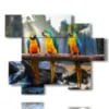 tableaux avec oiseaux perroquets - version: 6 pannelli 127x102cm