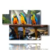 paintings with parrot birds - version: 5 pannelli 128x85cm