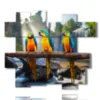 paintings with parrot birds - version: 14 pannelli 176x153cm