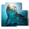 dolphins playing with the camera - version: 5 pannelli 102x93cm