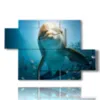 dolphins playing with the camera - version: 5 pannelli 128x85cm
