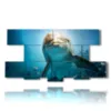 dolphins playing with the camera - version: 8 pannelli 186x97cm