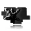 sensual photos in black and white - version: 12 pannelli 206x119cm