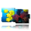 images paintings with yellow fish - version: 10 pannelli 183x100cm