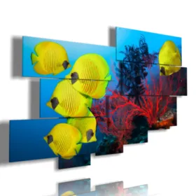 Imágenes cuadros con peces amarillos