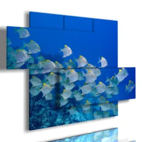 Gemälde mit Fischen in Gruppen