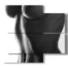 sensual photos in black and white naked woman - version: 4 pannelli 91x85cm
