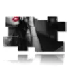 online pictures with sensual black and white woman and lips images - version: 10 pannelli 186x105cm