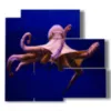 bild von oktopus im blauen - version: 5 pannelli 102x93cm
