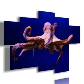 immagine di polpo nel blu stampe design moderne foto  3d Duudaart