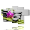 paintings with stones and orchids 1 - version: 6 pannelli 136x91cm