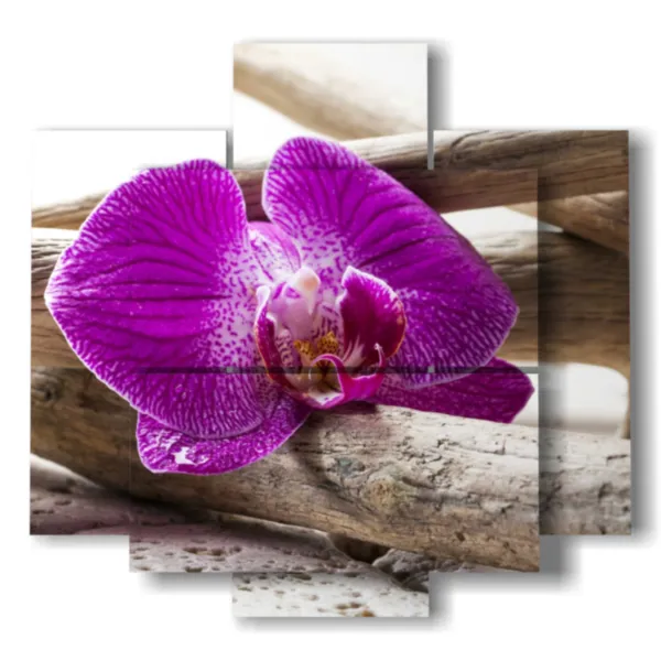 Moderner Wohnzimmerrahmen