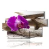 quadri moderni con orchidee effetto zen - version: 9 pannelli 171x108cm