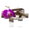 malerei fuer modernes wohnzimmer mit zen effekt orchideen - version: 8 pannelli 175x112cm