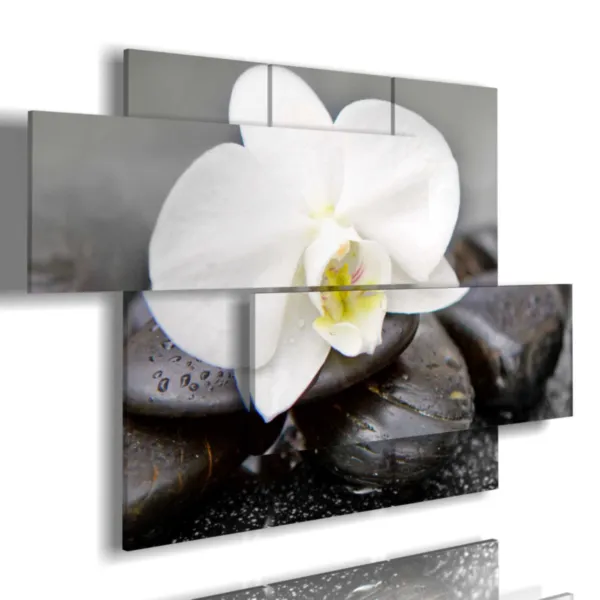 Tableaux avec des fleurs blanches et des orchidé es.