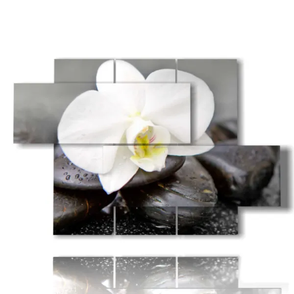 tableaux avec des fleurs blanches