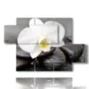 tableaux avec des fleurs blanches