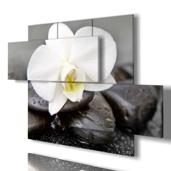 impressions avec des fleurs blanches