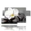 tableaux avec des fleurs blanches d orchidees - version: 7 pannelli 157x90cm