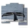 painting with whale tail in the - version: 5 pannelli 89x77cm
