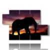 images d elephant au coucher du soleil - version: 5 pannelli 128x85cm