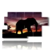 images d elephant au coucher du soleil - version: 7 pannelli 157x90cm