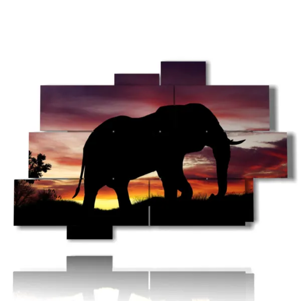 imágenes de elefante