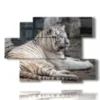 bilder von tiger weit - version: 6 pannelli 129x94cm