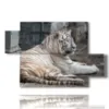 tableaux de tigre etendus - version: 5 pannelli 128x85cm