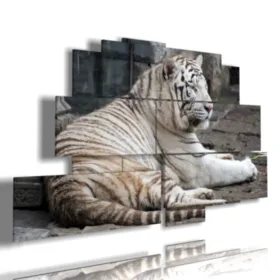 lying tiger paintings