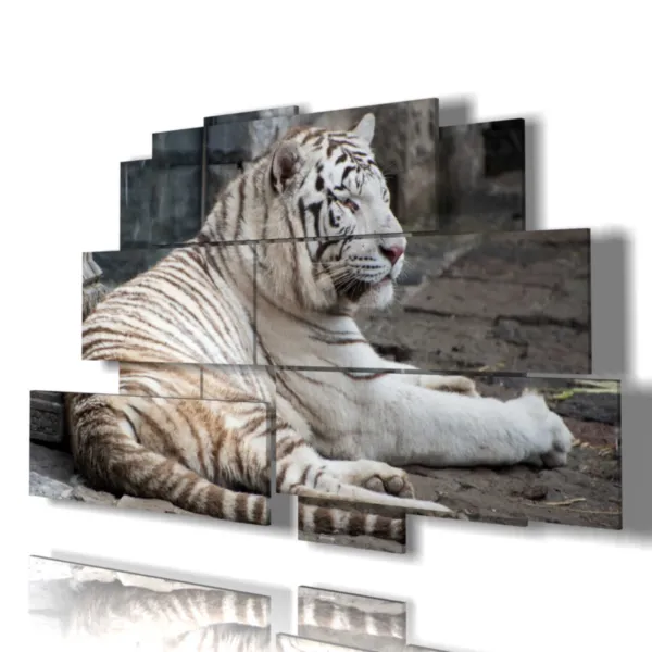 quadri di tigre decorazioni