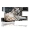 bilder von tiger weit - version: 9 pannelli 177x101cm