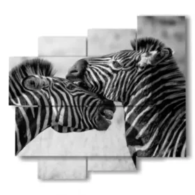 immagini animali bianco e nero