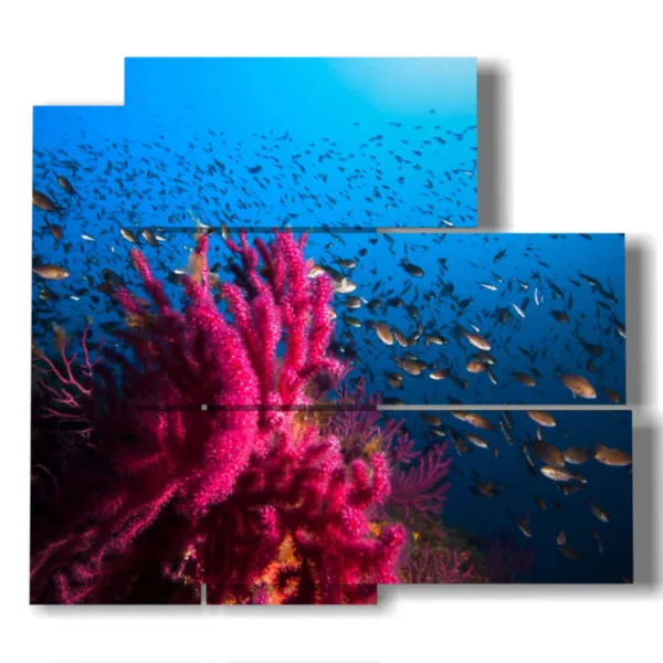 Pictures of paintings with fish