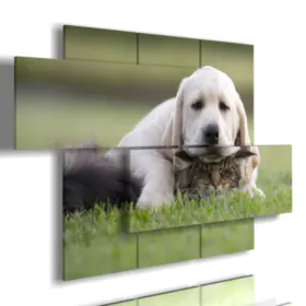 Gemälde von Hunden und Katzen, die auf einer Wiese spielen.