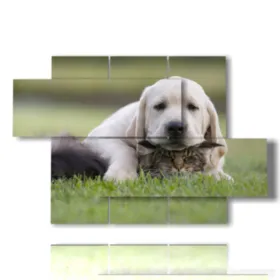 Gemälde von Hunden und Katzen