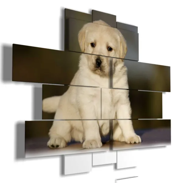 cuadros con cachorro de perro
