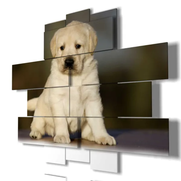 Impresiones con perro