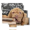 painting of a studious dog - version: 6 pannelli 113x99cm
