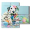 bilder mit hunden in einer welt der farben - version: 4 pannelli 91x85cm