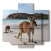 cuadros de animales modernos en australia - version: 5 pannelli 89x85cm