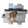 tableaux animaux modernes en australie - version: 13 pannelli 177x149cm