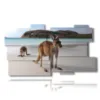 cuadros de animales modernos en australia - version: 11 pannelli 184x104cm
