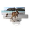modern animal paintings in australia - version: 12 pannelli 206x119cm